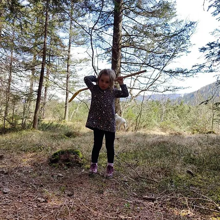 Gaestehaus Schwaiger 3*